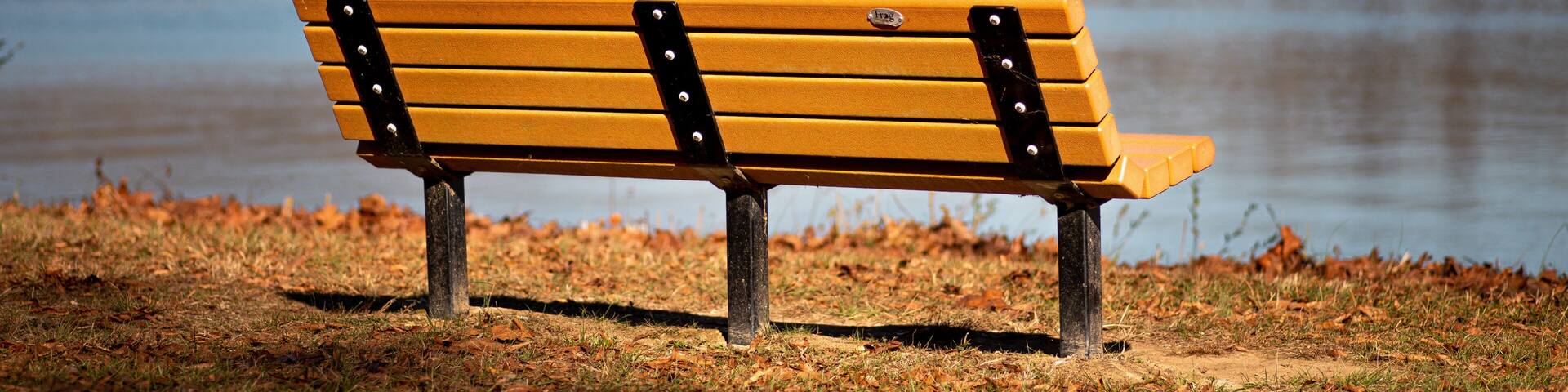 Empty Park Bench by Melton Hill Lake in Oak Ridge, TN