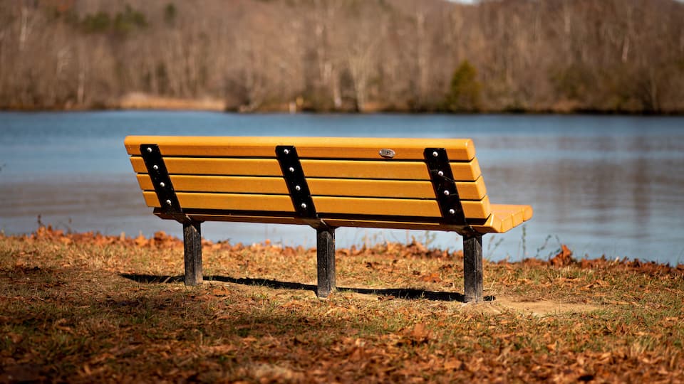 A wooden bench with black metal supports by a lake.