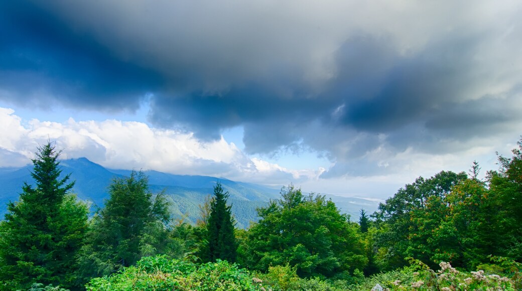 ไฮแลนด์