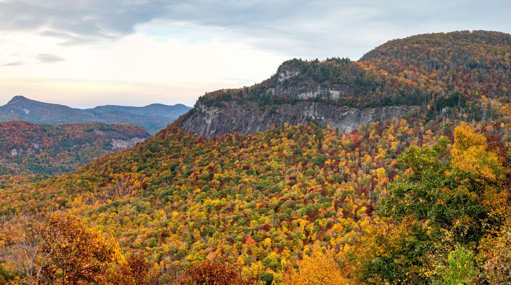 ไฮแลนด์