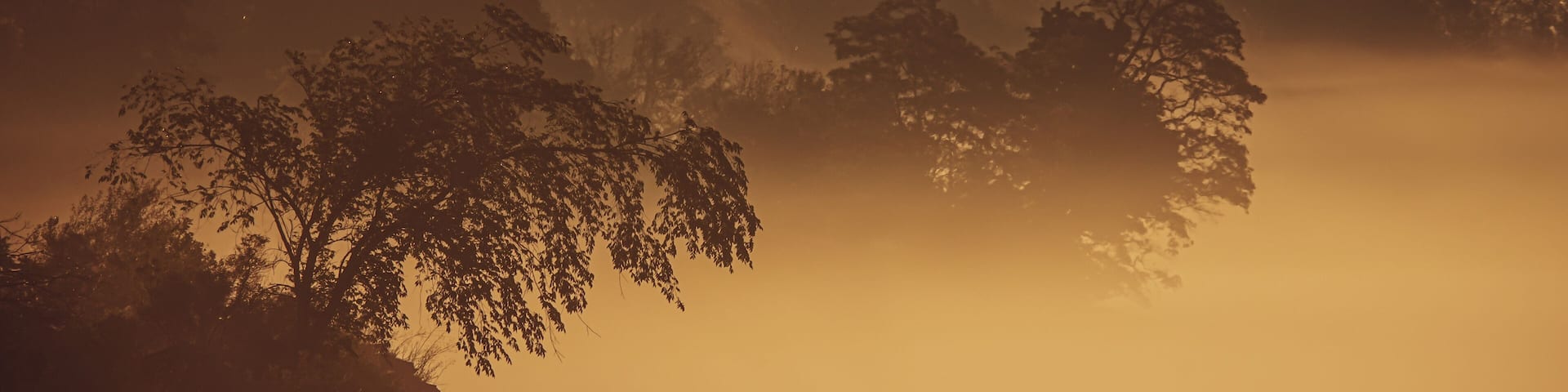 An Early Morning Fog Enshrouds The Lake Ontario Shoreline East of Port Hope, Ontario