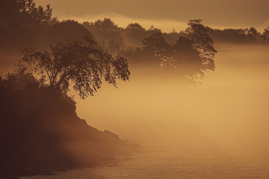 An Early Morning Fog Enshrouds The Lake Ontario Shoreline East of Port Hope, Ontario