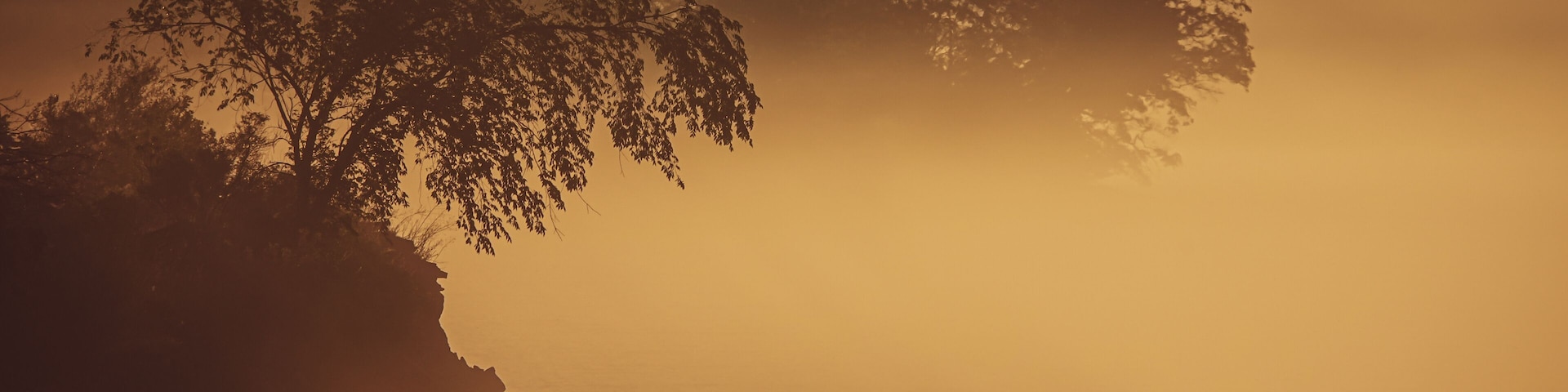 A coastal landscape with a cliff, trees, and a foggy atmosphere.
