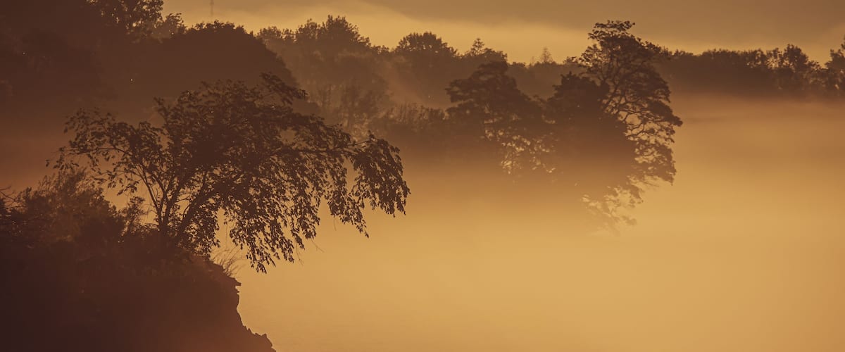 A coastal landscape with a cliff, trees, and a foggy atmosphere.