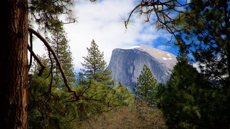 A mountain with a flat top, surrounded by trees and a clear sky.