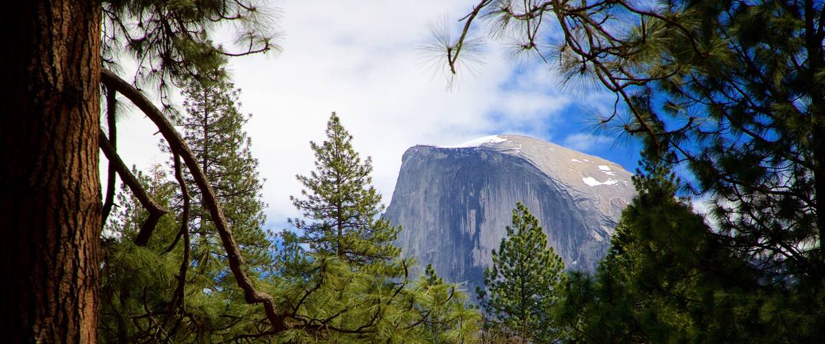 A mountain with a flat top, surrounded by trees and a clear sky.