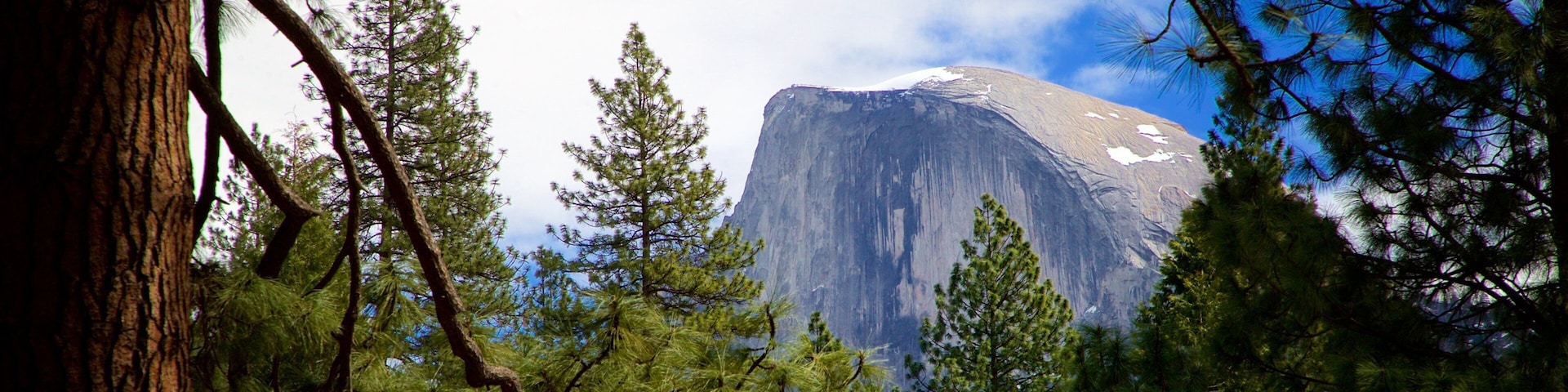 A mountain with a flat top, surrounded by trees and a clear sky.