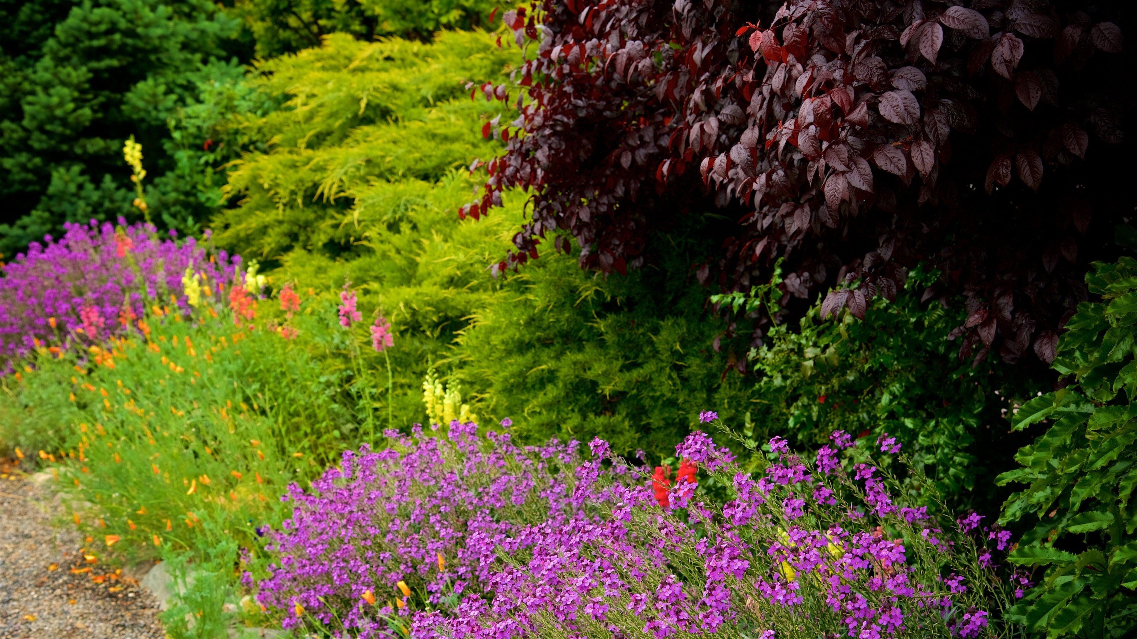 Mariposa showing forests and flowers