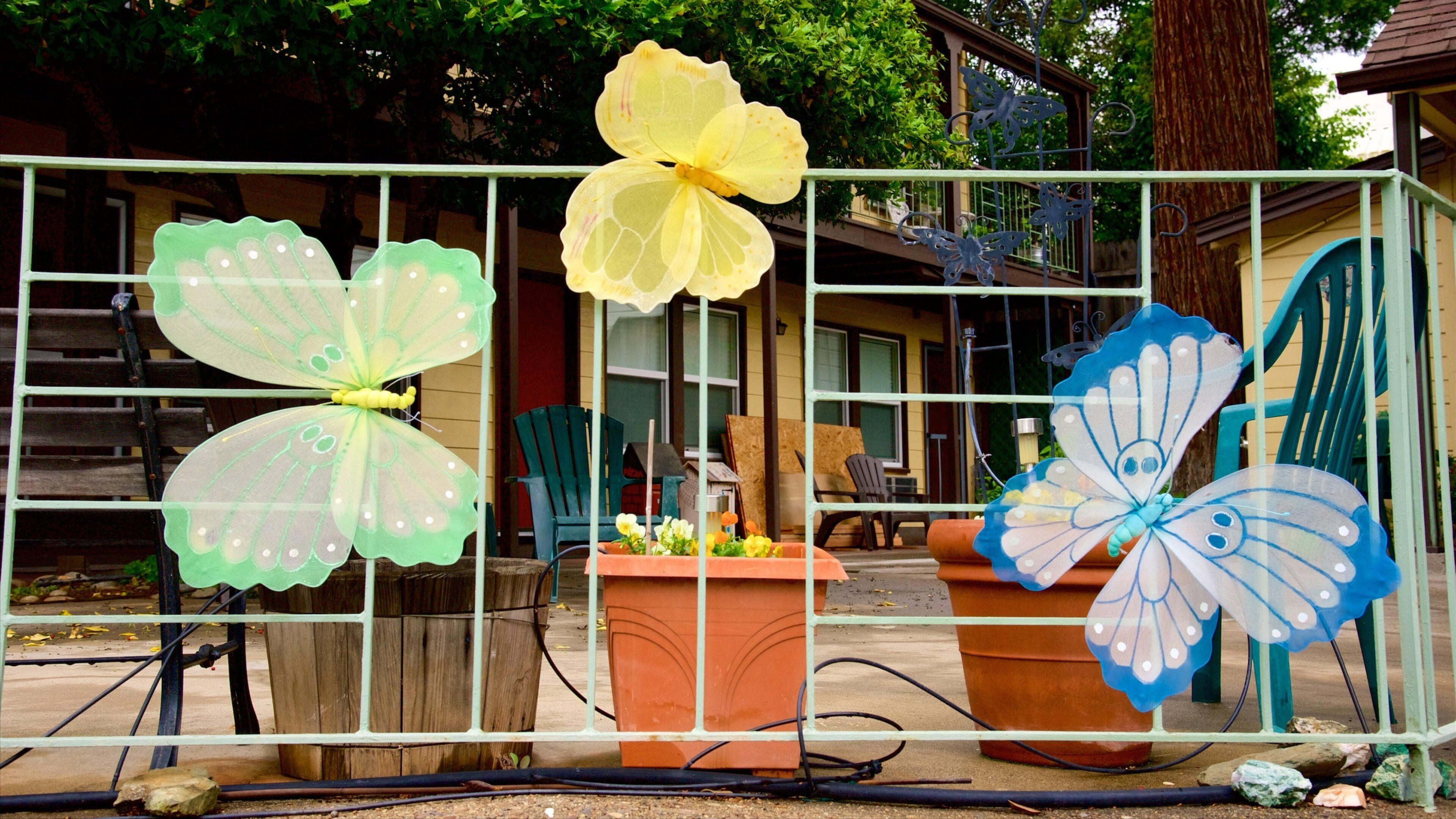 <h2>Top-rated places to stay near the beach in Mariposa</h2>