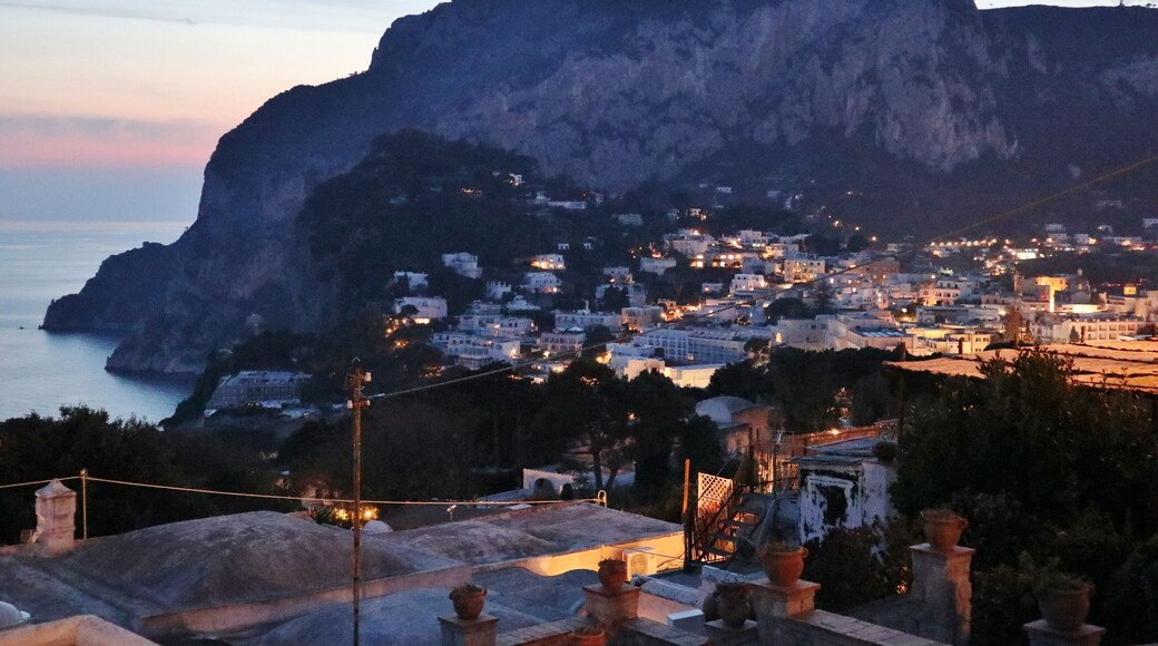 มาแตร์มาเนีย