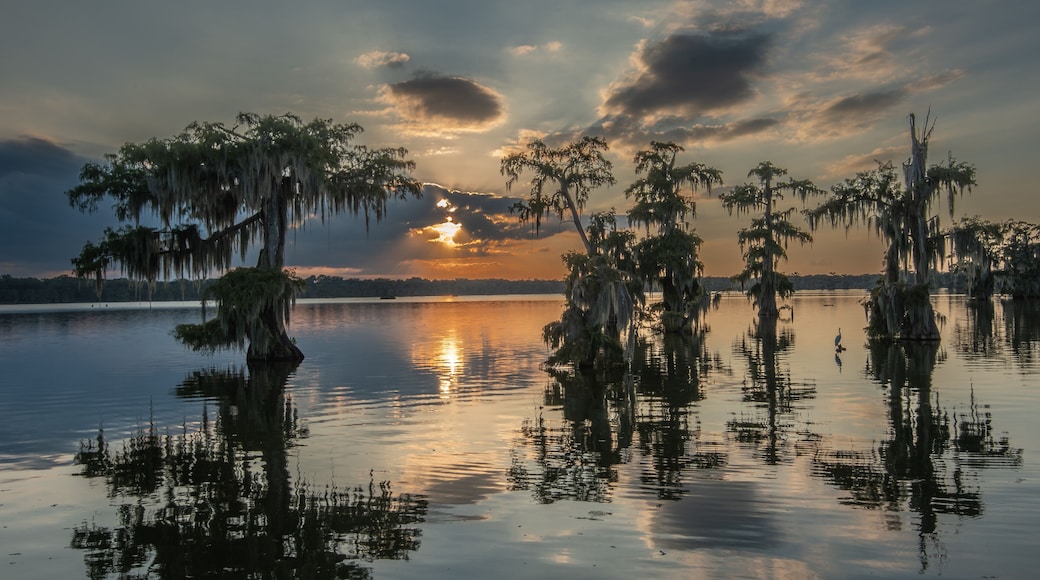 Colorful Sunset at Lake Martin Louisiana