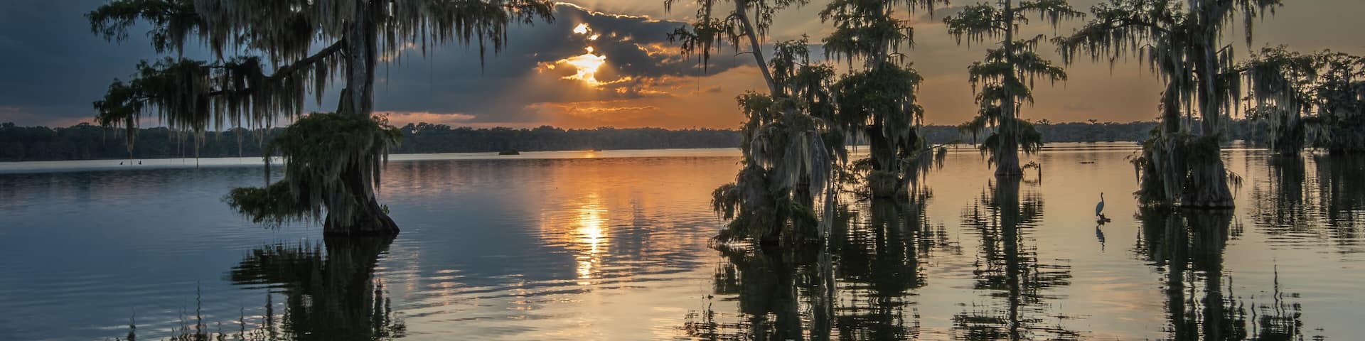 A sunset over a calm lake with Spanish moss-covered trees.