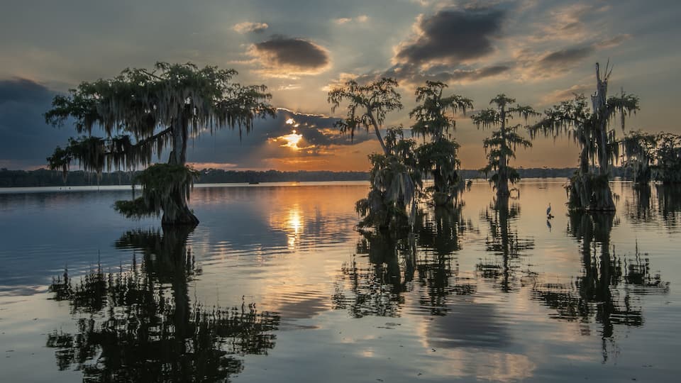 A sunset over a calm lake with Spanish moss-covered trees.