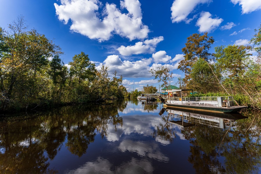 South Louisiana wildlife swamp tour, USA
