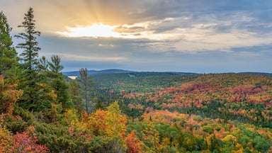A forested landscape with a variety of trees displaying autumn colors, a mountain range in the distance, and a sun setting or rising behind the clouds.