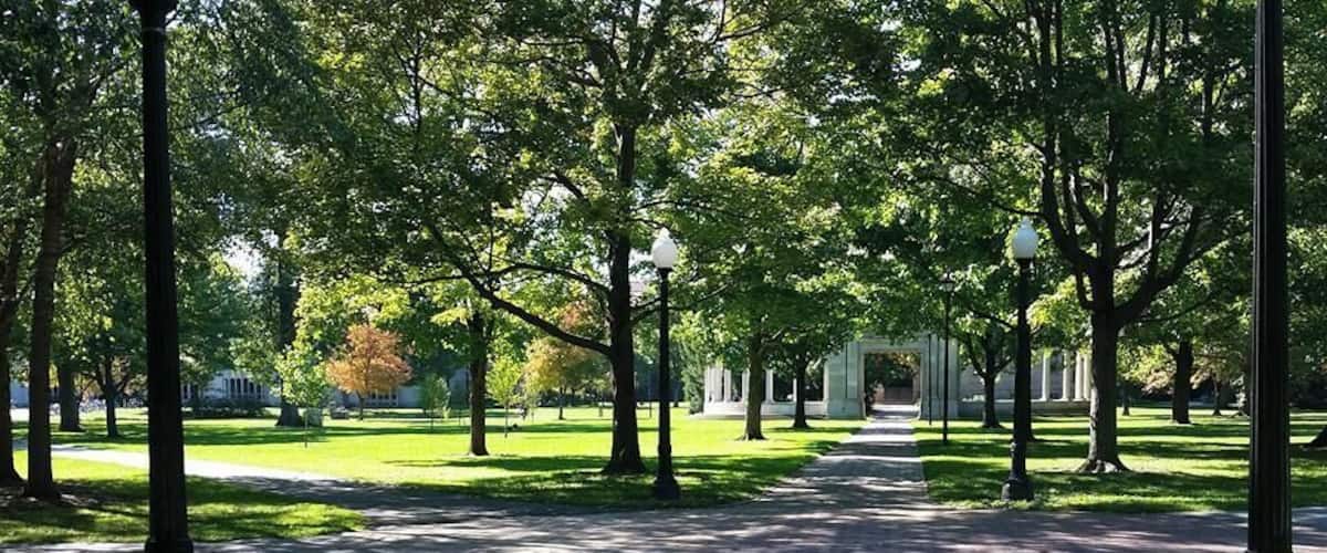 Tappan Square is a National Historic Landmark public park in the heart of Oberlin College in Ohio. It hosts many college and community events, including festivals, rallies and vigils.  It also happens to be my own "treadmill" across the street from work.  Fresh air and warm sun during my breaks.