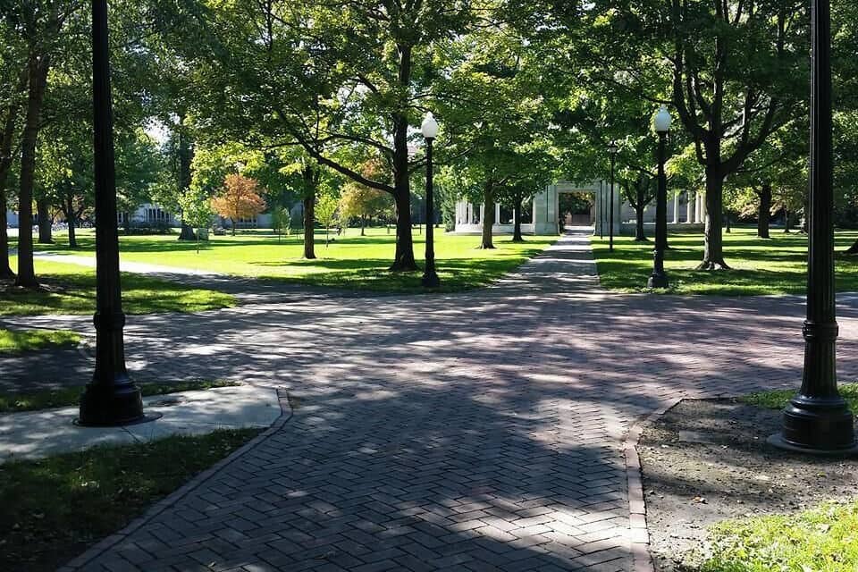 A paved pathway lined with trees and lamp posts, leading to a building in the distance.