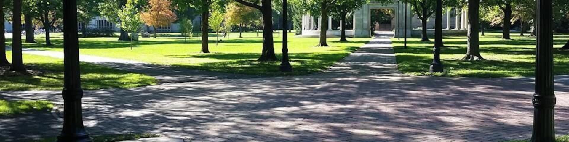 Tappan Square is a National Historic Landmark public park in the heart of Oberlin College in Ohio. It hosts many college and community events, including festivals, rallies and vigils. It also happens to be my own "treadmill" across the street from work. Fresh air and warm sun during my breaks.
