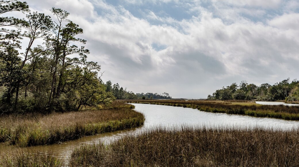 Beautiful day for a walk in the park