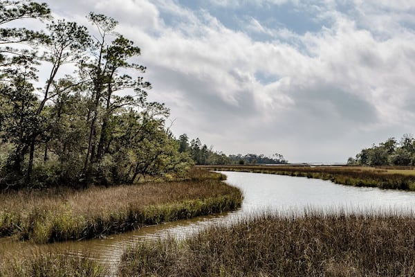 Beautiful day for a walk in the park