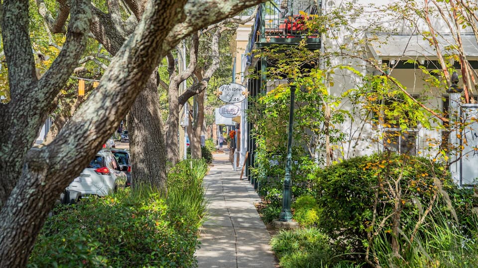 A tree-lined pathway with parked cars, a sign for Maison de Lu, and a storefront named JLaurie.