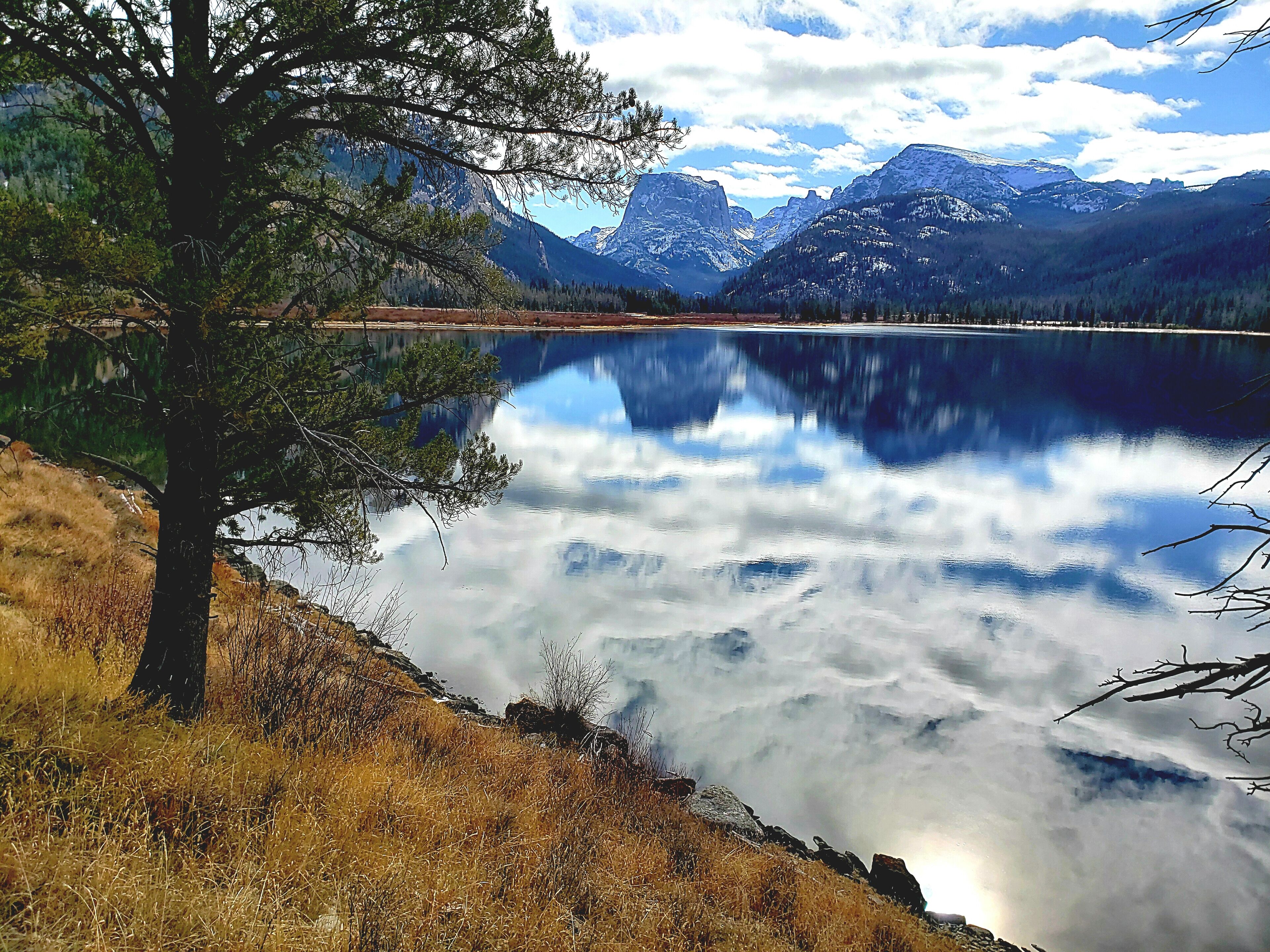 A calm lake with mountains in the background and a prominent tree in the foreground.