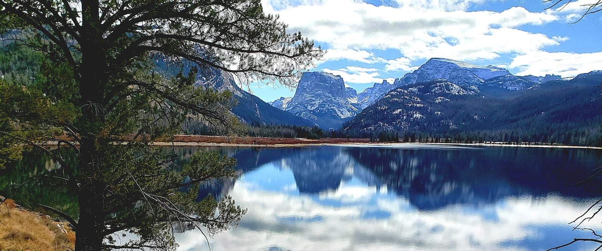 A calm lake with mountains in the background and a prominent tree in the foreground.