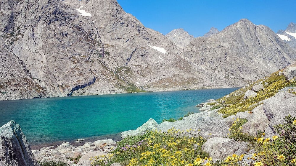 A mountain lake surrounded by rocky terrain and yellow wildflowers.