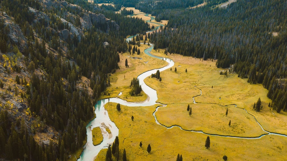 A river winding through a valley with a prominent mountain in the background.