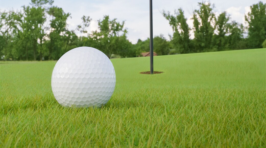 Putt Putt Golf and Games