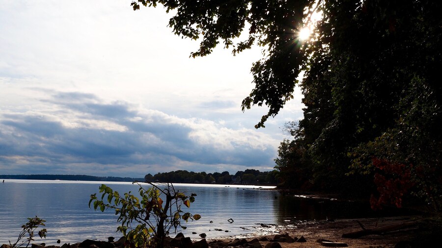 A park in a park. Nice, quiet location.