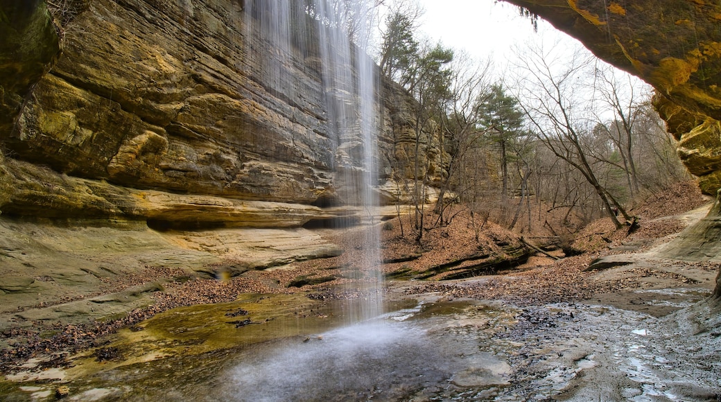 Early Spring landscape looking out from behind the LaSalle Canyon waterfall at Starved Rock State Park near Oglesby, Illinois.
