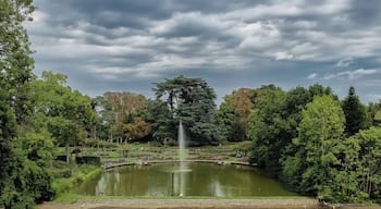 The Parc Floral de la Source is a French garden located at the south of the River Loire in the department of Loiret.