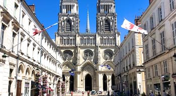 Orléans Cathedral is a Roman Catholic church located in the city of Orléans, France. The cathedral is the seat of the Bishop of Orléans and was built from 1278 to 1329 and 1601–1829. The edifice is in the Gothic architectural style. The cathedral is probably most famous for its association with Joan of Arc.