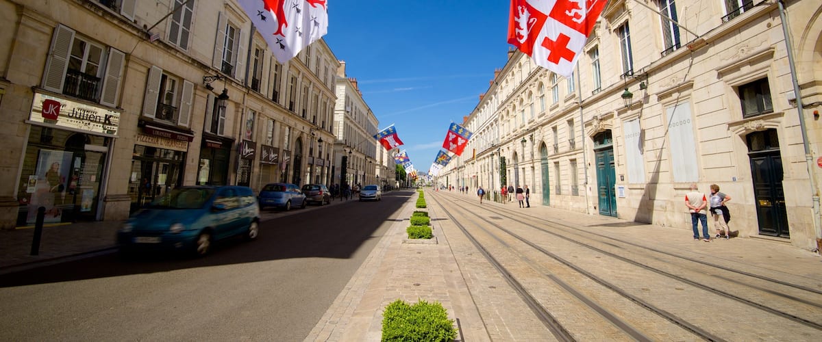 A street lined with historic buildings, flags, and a tram track.