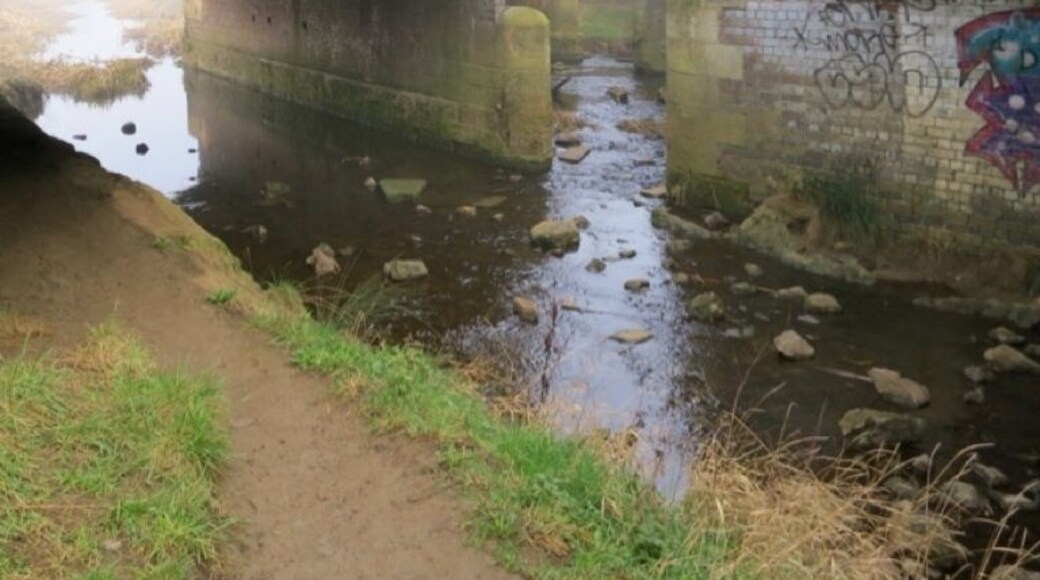 The graffiti somehow adds to this area!