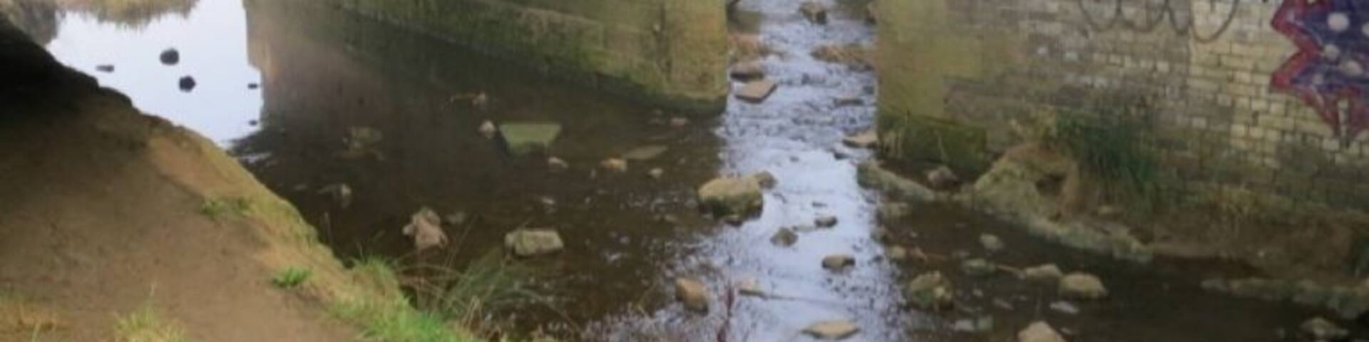 The graffiti somehow adds to this area!