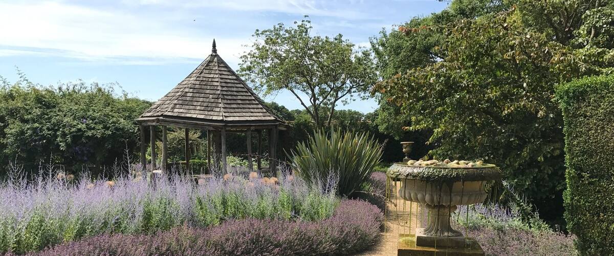 A garden with a gazebo, a fountain, and lavender bushes.