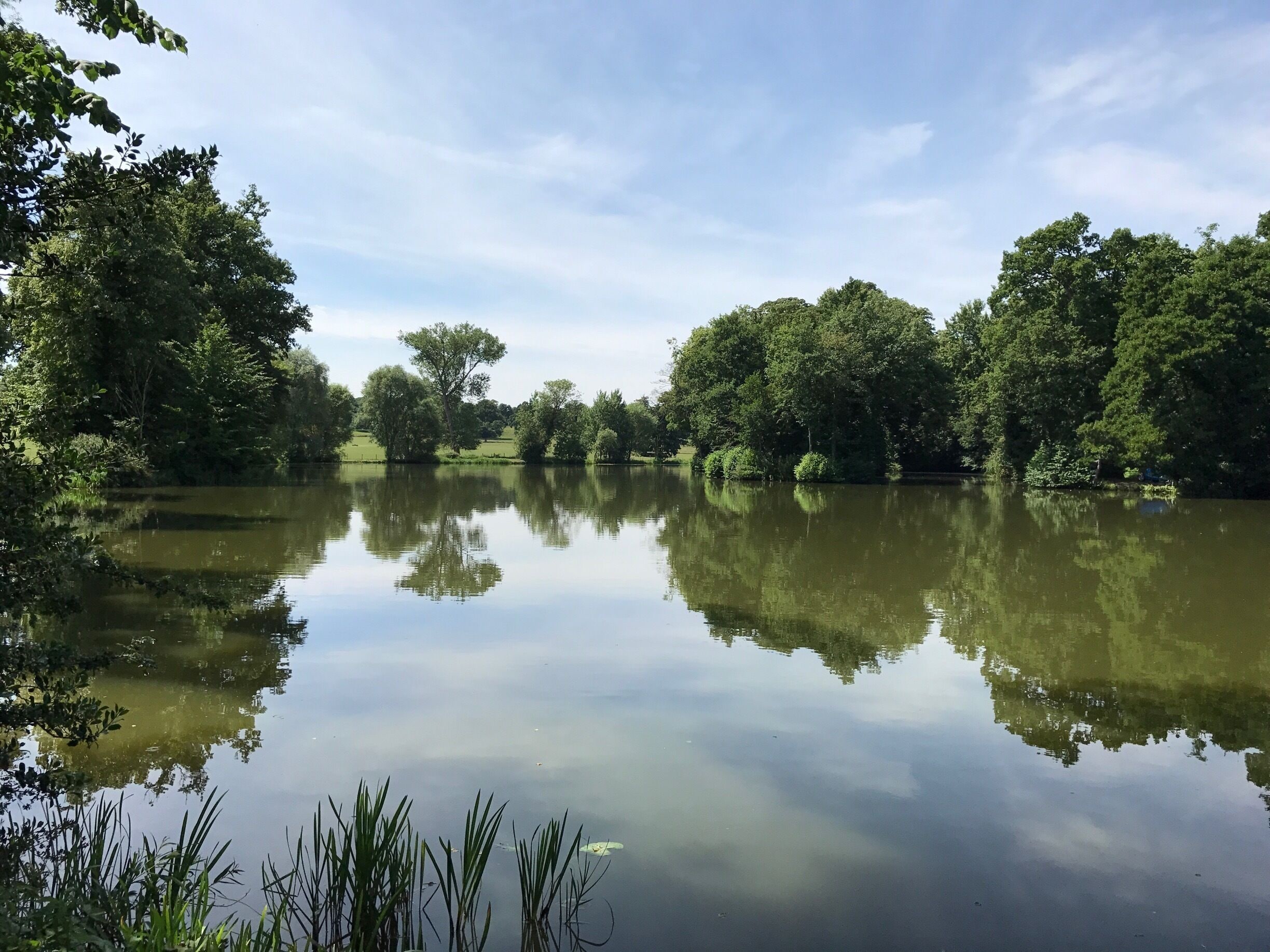 Castle Ashby fishing, near cafe