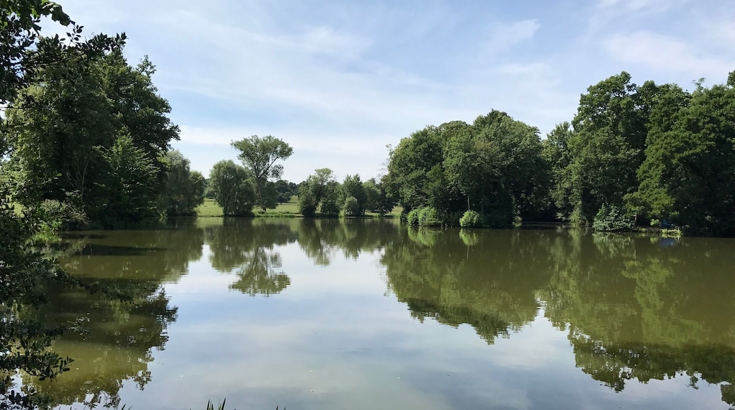Castle Ashby fishing, near cafe
