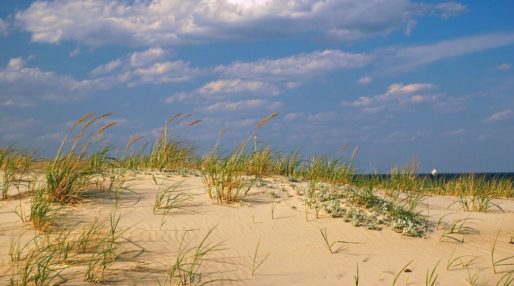 North East Beach Area