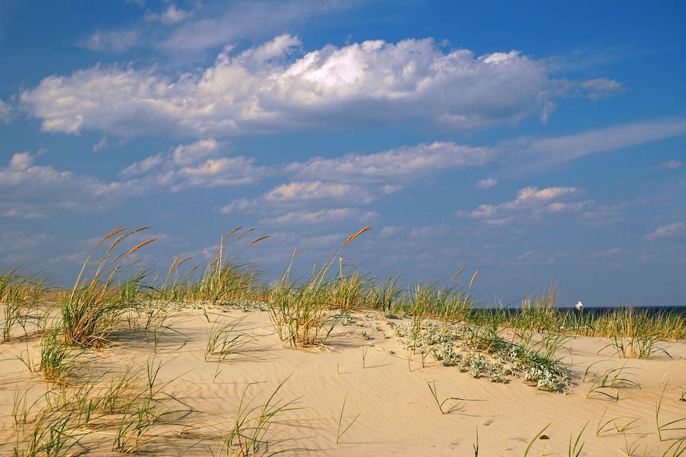 Une plage de sable avec de hautes herbes et un ciel bleu clair parsemé de nuages.
