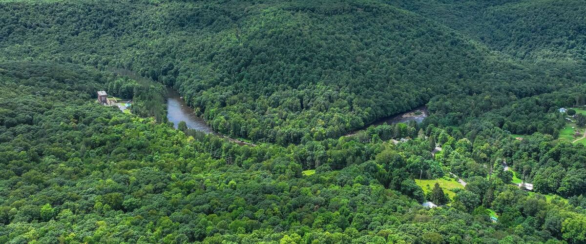 Aerial view of the trail and thick forest in Fork Run Recreation Area Trails in Maryland, USA