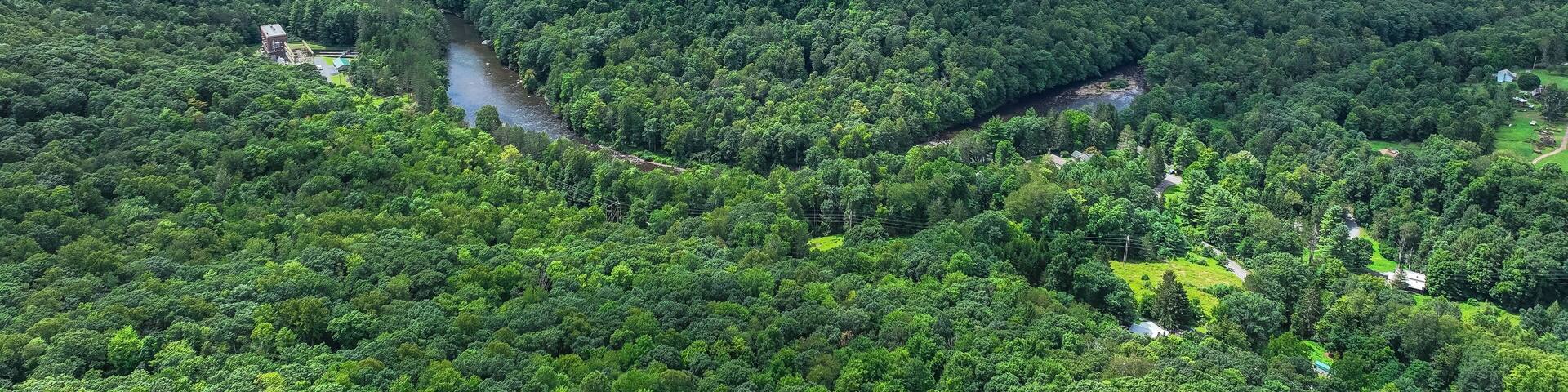 A dense forest with a river cutting through it and a small building near the river.