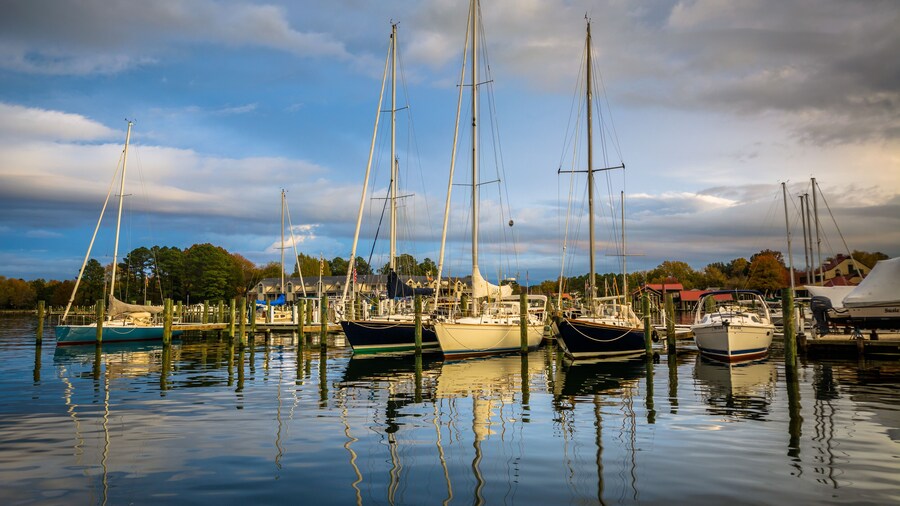 St. Michaels Marina