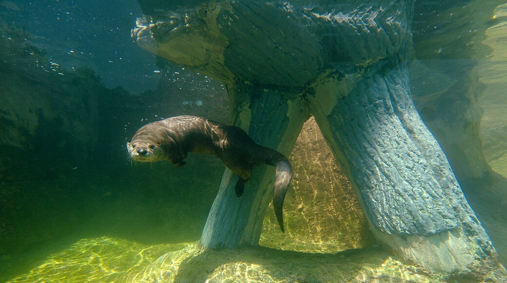 Calvert Marine Museum
