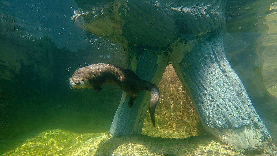 Calvert Marine Museum
