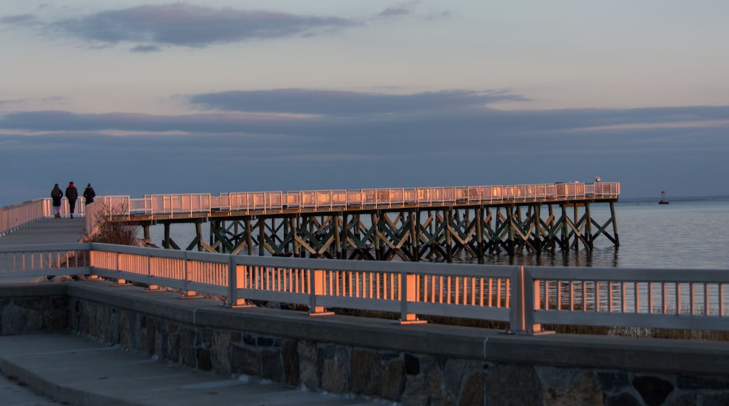 ์คํฌํผ๋