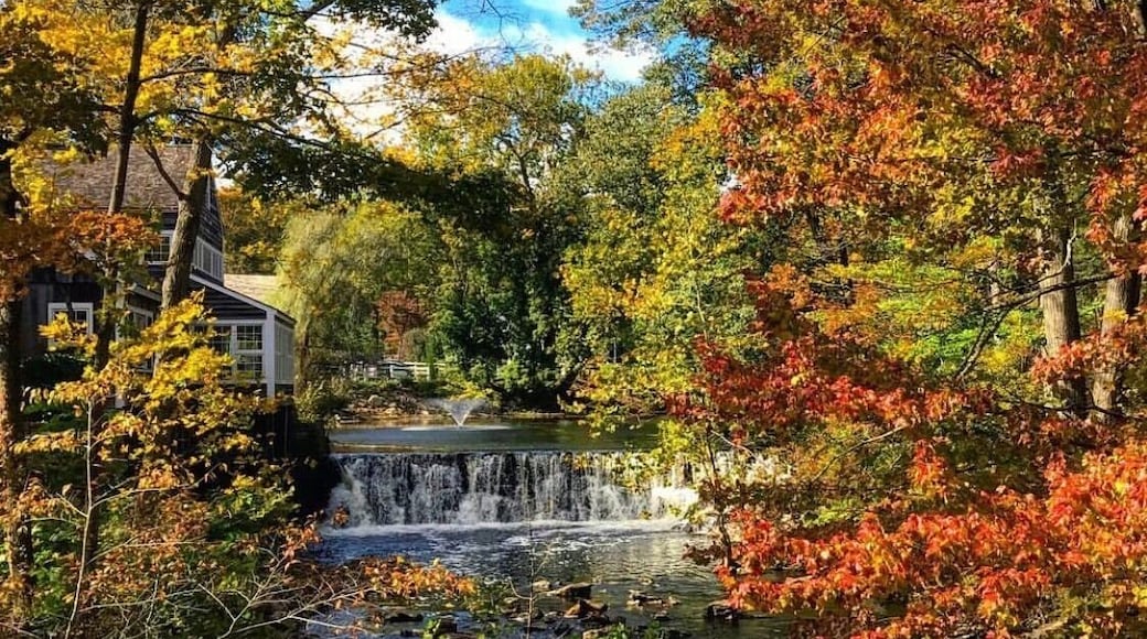 Beautiful fall day at the quaint Inn at Graybarns...
#adventure #adventurephotocontest
