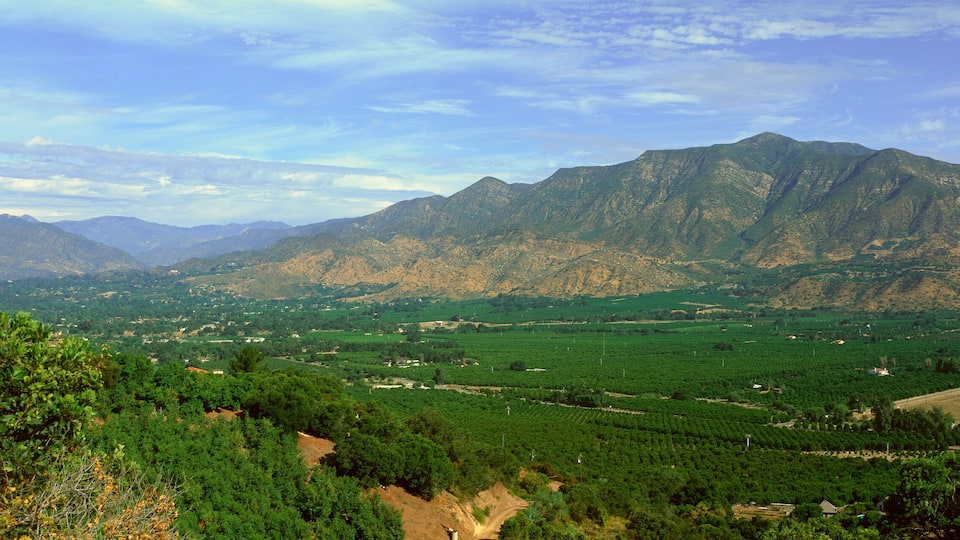 A mountainous landscape with vineyards and fields.